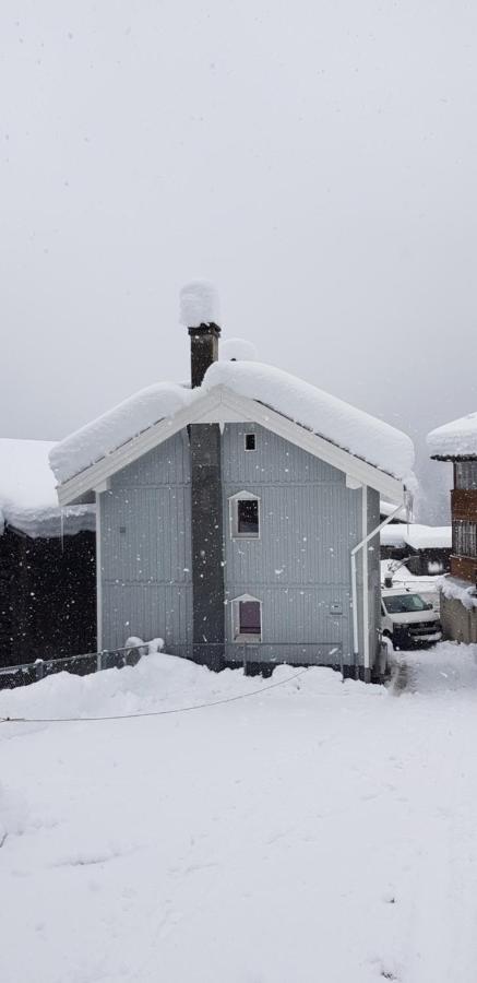 Casa Cuschina - Mit Sauna In Der Schoenen Surselva Dardin المظهر الخارجي الصورة