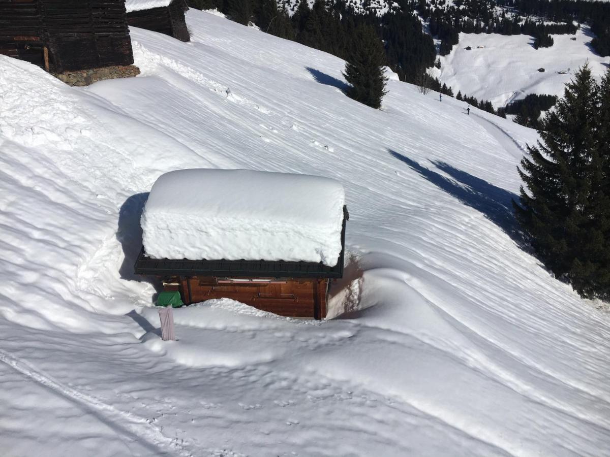 Casa Cuschina - Mit Sauna In Der Schoenen Surselva Dardin المظهر الخارجي الصورة